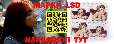 сатива Краснодар