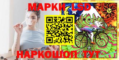 сатива Краснодар
