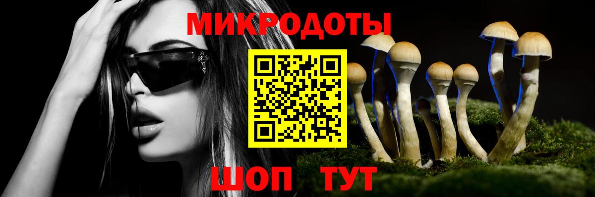 Галлюциногенные грибы Magic Shrooms Кисловодск